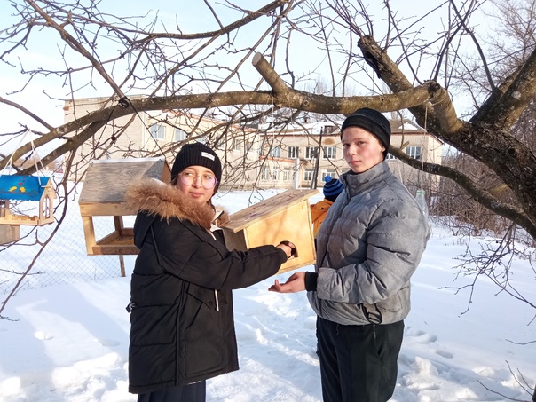 Акция «Покормите птиц зимой».